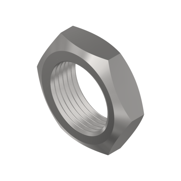 3D Image of Lock Nuts